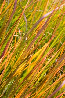 「無題」のサムネイル画像