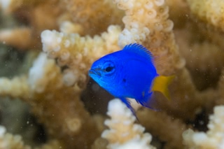 「無題」のサムネイル画像