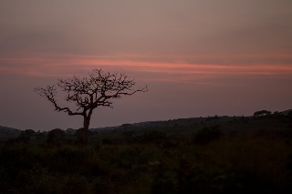 「無題」のサムネイル画像