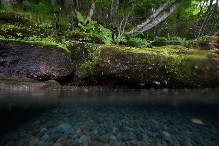 「無題」のサムネイル画像