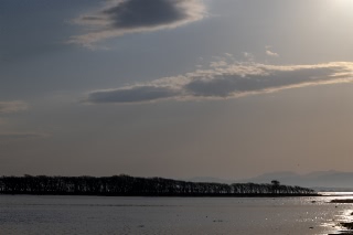 「無題」のサムネイル画像