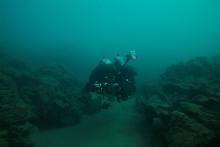 「無題」のサムネイル画像