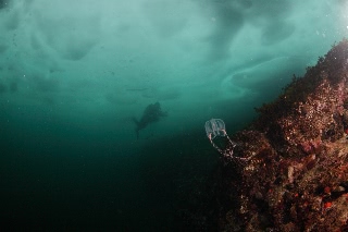 「無題」のサムネイル画像