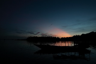 「無題」のサムネイル画像