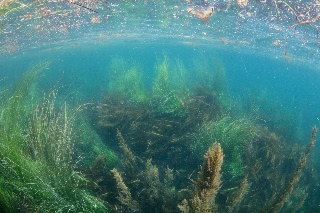 「無題」のサムネイル画像