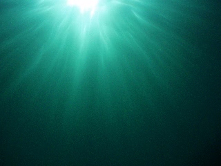 「無題」のサムネイル画像