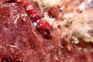 「無題」のサムネイル画像