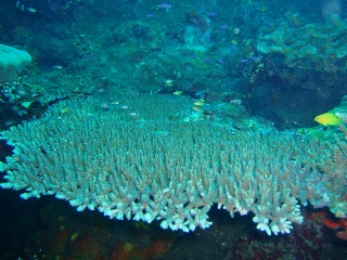 「無題」のサムネイル画像