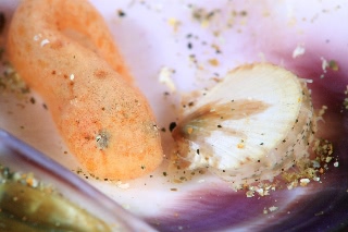 「スナビクニン」のサムネイル画像