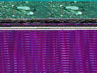 「無題」のサムネイル画像