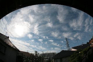 「無題」のサムネイル画像