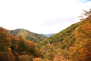 「無題」のサムネイル画像