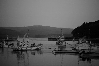 「無題」のサムネイル画像