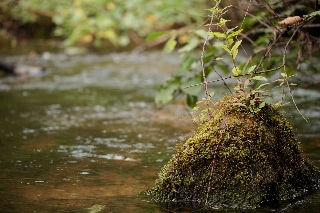 「無題」のサムネイル画像
