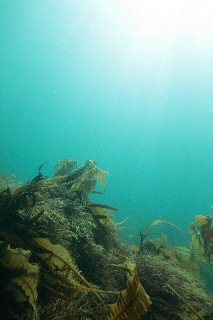 「無題」のサムネイル画像