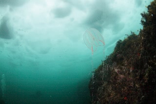 「無題」のサムネイル画像