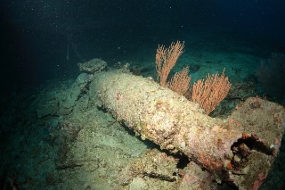 「無題」のサムネイル画像