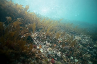 「無題」のサムネイル画像