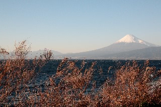「富士山」のサムネイル画像