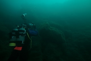 「無題」のサムネイル画像