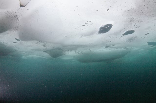 「無題」のサムネイル画像