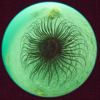 「無題」のサムネイル画像