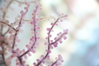 「無題」のサムネイル画像