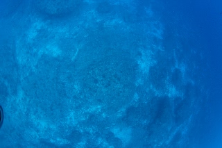 「中層移動中」のサムネイル画像