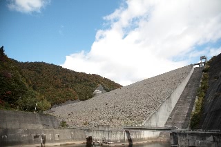 「無題」のサムネイル画像