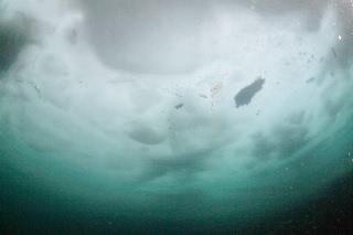 「無題」のサムネイル画像