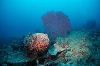 「無題」のサムネイル画像