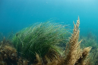「無題」のサムネイル画像