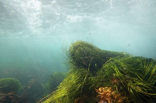 「無題」のサムネイル画像