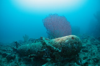「無題」のサムネイル画像
