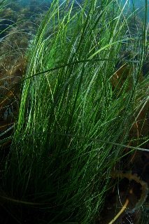 「無題」のサムネイル画像