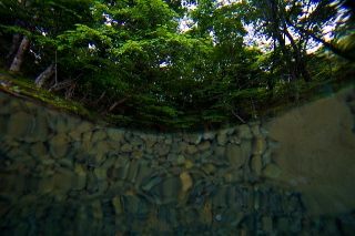 「無題」のサムネイル画像