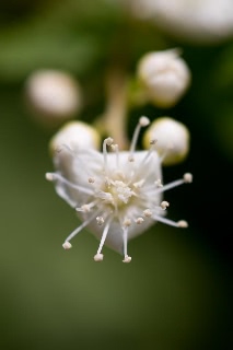 「無題」のサムネイル画像
