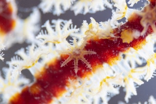 「無題」のサムネイル画像