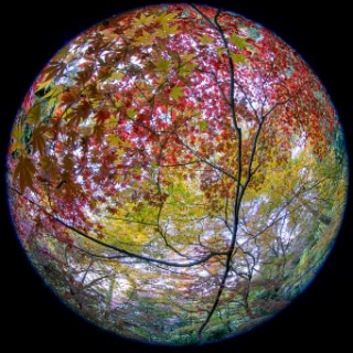 「無題」のサムネイル画像