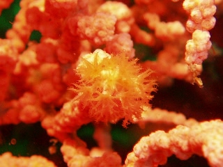 「無題」のサムネイル画像