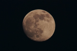 「十五夜(月齢:13)」のサムネイル画像