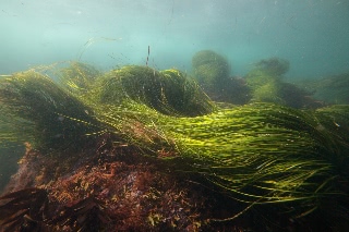 「無題」のサムネイル画像