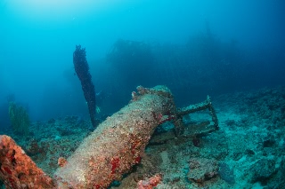 「無題」のサムネイル画像