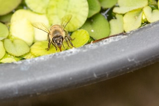 「無題」のサムネイル画像