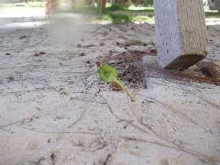 「無題」のサムネイル画像
