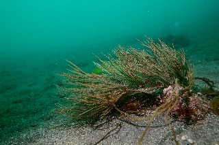 「無題」のサムネイル画像
