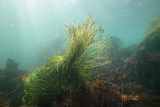 「無題」のサムネイル画像