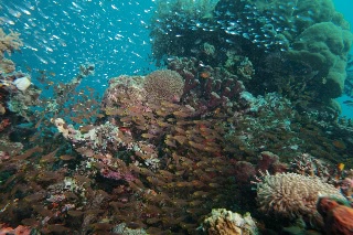 「無題」のサムネイル画像
