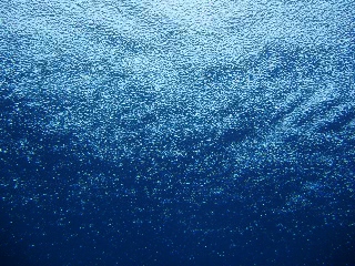 「雨粒を受ける海面を海中から」のサムネイル画像