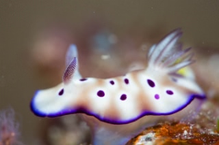 「無題」のサムネイル画像